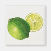 Aimant lime (Devant)