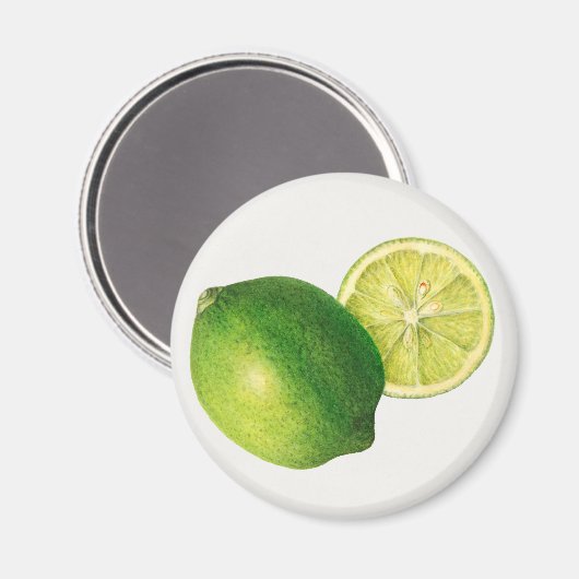 Aimant lime (Recto/Verso)