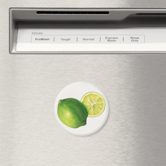 Aimant lime (In Situ (Lave-vaisselle))