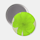 Aimant Lime électrique / Fleur PopArt (Recto/Verso)