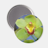 Aimant Lime fleurs de Cymbidium (Recto/Verso)
