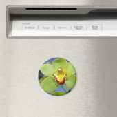 Aimant Lime fleurs de Cymbidium (In Situ (Lave-vaisselle))