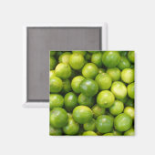 Aimant Limes 01 (Recto/Verso)