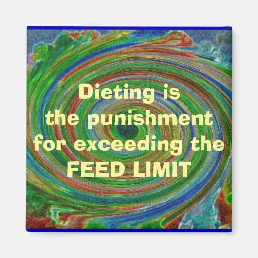 AIMANT LIMITE D'ALIMENTATION (Devant)