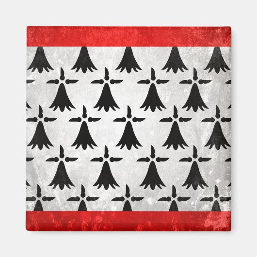 Aimant Limousin (Devant)