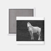 Aimant LIN10BW The Stance.tif (Recto/Verso)