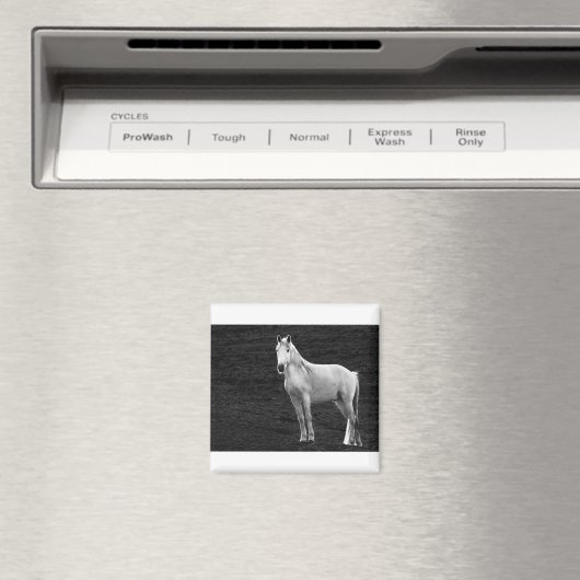 Aimant LIN10BW The Stance.tif (In Situ (Lave-vaisselle))