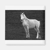 Aimant LIN10BW The Stance.tif (Devant)