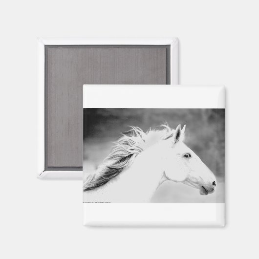 Aimant LIN26BW Mane dans le Wind.tif (Recto/Verso)