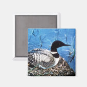 Aimant Lin commun sur nid (Recto/Verso)