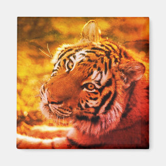 Aimant Linda Expressão de Tigre Deitado