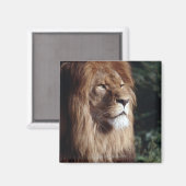 Aimant lion (Recto/Verso)