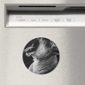 Aimant lion (In Situ (Lave-vaisselle))