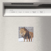 Aimant Lion (In Situ (Lave-vaisselle))
