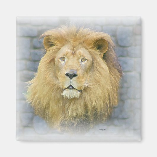 Aimant lion (Devant)
