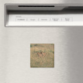 Aimant Lion 9 (In Situ (Lave-vaisselle))