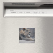 Aimant Lion africain (In Situ (Lave-vaisselle))