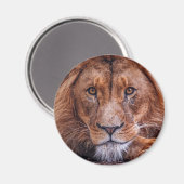 Aimant Lion africain (Recto/Verso)