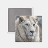 Aimant Lion blanc (Recto/Verso)