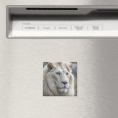 Aimant Lion blanc (In Situ (Lave-vaisselle))