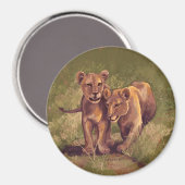 Aimant Lion Cubs (Recto/Verso)