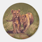 Aimant Lion Cubs (Devant)