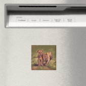 Aimant Lion Cubs (In Situ (Lave-vaisselle))