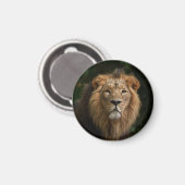 Aimant Lion dans les ombres (Recto/Verso)