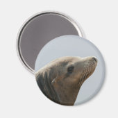 Aimant Lion de mer (Recto/Verso)