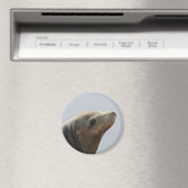 Aimant Lion de mer (In Situ (Lave-vaisselle))