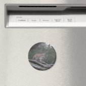 Aimant Lion de montagne (In Situ (Lave-vaisselle))