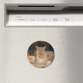 Aimant Lion de montagne (In Situ (Lave-vaisselle))