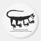 Aimant Lion de montagne Petroglyph (Devant)