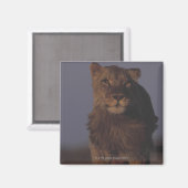 Aimant Lion en marche (Recto/Verso)