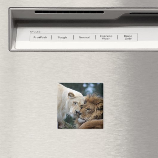 Aimant Lion et Lion (In Situ (Lave-vaisselle))