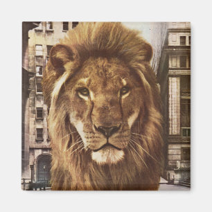 Aimant lion in town