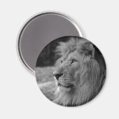 Aimant Lion noir et blanc - Animal sauvage (Recto/Verso)