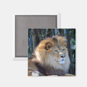 Aimant lion roi (Recto/Verso)