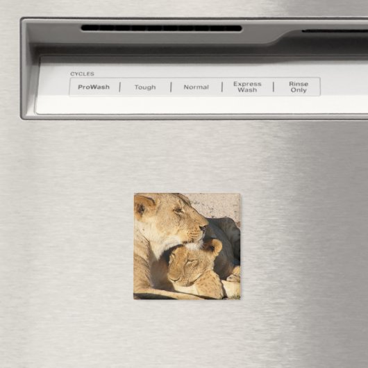 Aimant Lioness et Cub se reposent ensemble (In Situ (Lave-vaisselle))