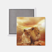 Aimant Lions (Recto/Verso)