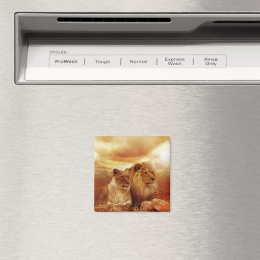 Aimant Lions (In Situ (Lave-vaisselle))
