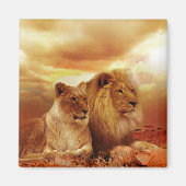 Aimant Lions (Devant)