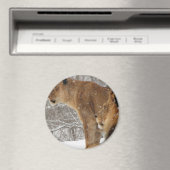 Aimant Lions (In Situ (Lave-vaisselle))