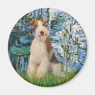 Aimant Lis 1 - Fox-Terrier à poil dur 3
