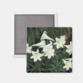 Aimant Lis de Pâques (Lilium regale) (Recto/Verso)