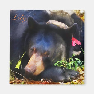 Aimant Lis l'ours noir avec l'aimant de rubans
