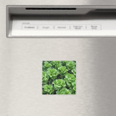 Aimant Lit (In Situ (Lave-vaisselle))