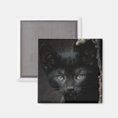 Aimant Little Black Kitty (Recto/Verso)