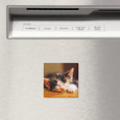 Aimant Little Kitty Dormait (In Situ (Lave-vaisselle))