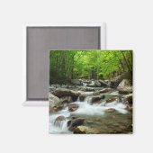 Aimant Little Pigeon River à Greenbrier (Recto/Verso)